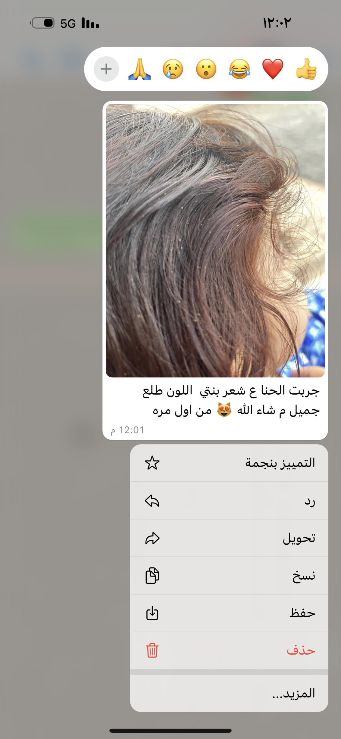 ماسك حنا الفرات بالمشاط معجون - الصورة 4